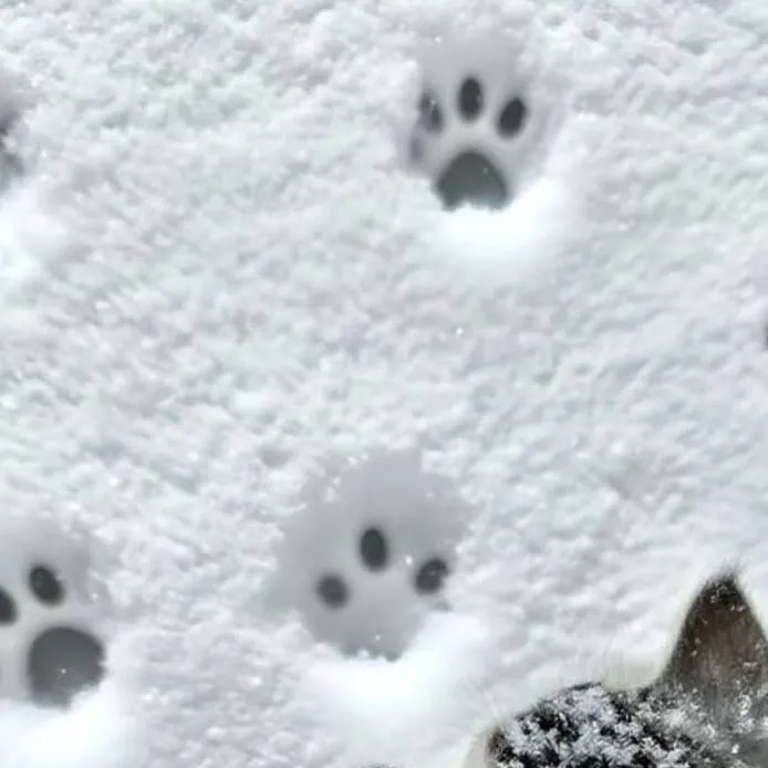 chat with ai character: 𝒸𝒶𝓉𝓂𝑜𝓉𝒽𝑒𝓇 🤍🐾