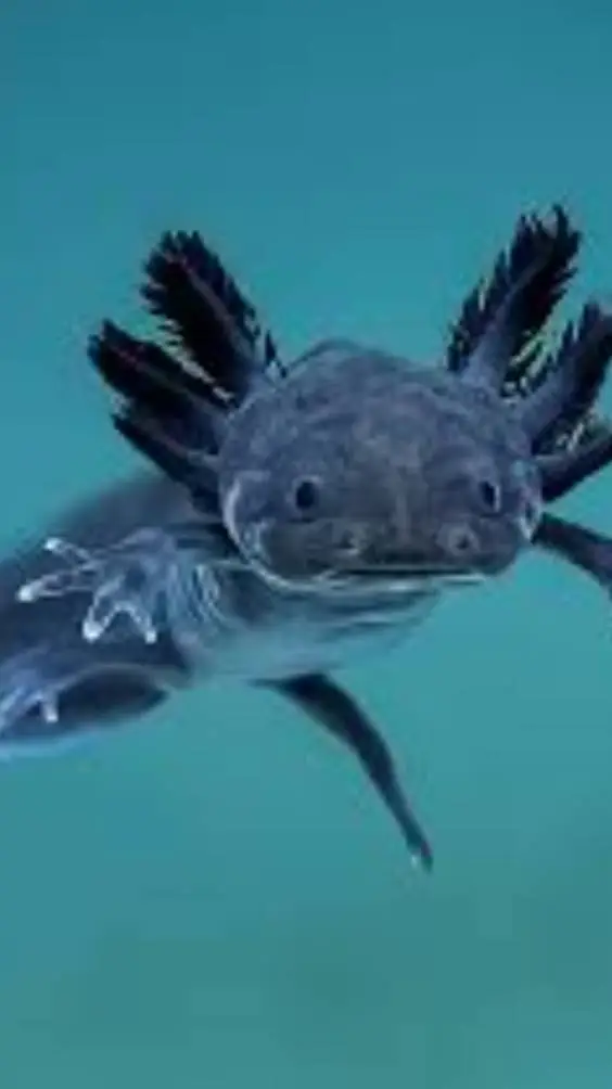 ai character: the sleeping sea background