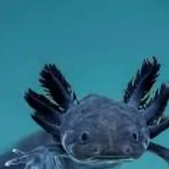 chat with ai character: the sleeping sea