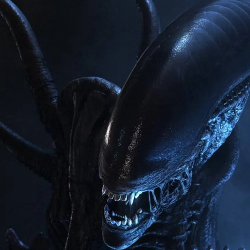chat with ai character: you is xenomorph