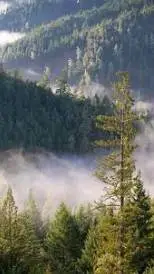 ai character: crea tu oc background