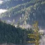 chat with ai character: crea tu oc