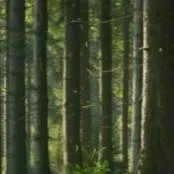 chat with ai character: crea tu historia 