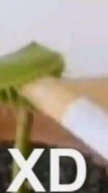 ai character: lo gue guieras XD background