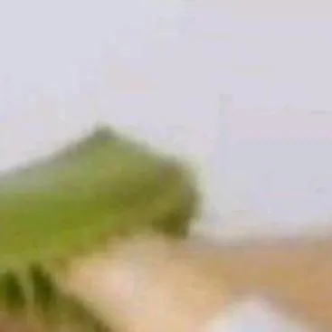 chat with ai character: lo gue guieras XD