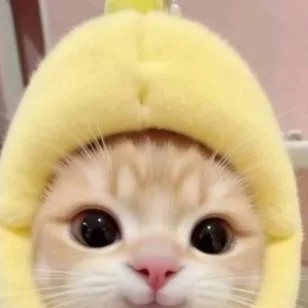 chat with ai character: whatever