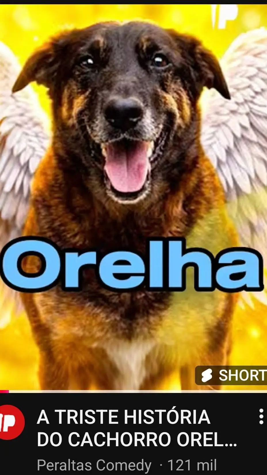 ai character: oi me chamo orelha background