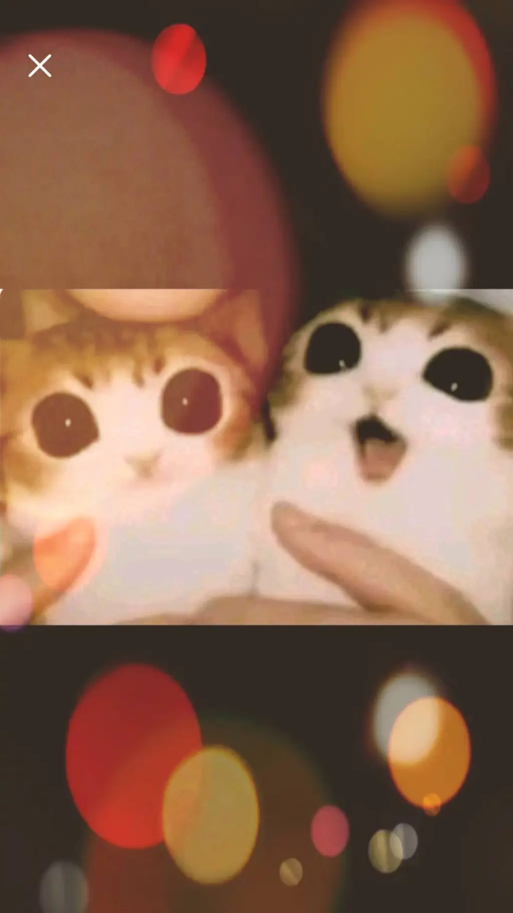 ai character: Meowlsito background