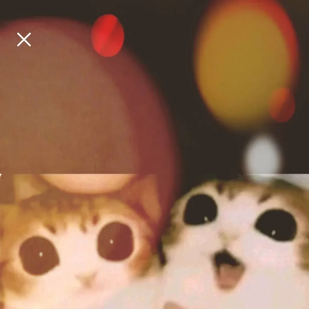 chat with ai character: Meowlsito