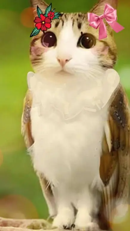 ai character: Meawl background