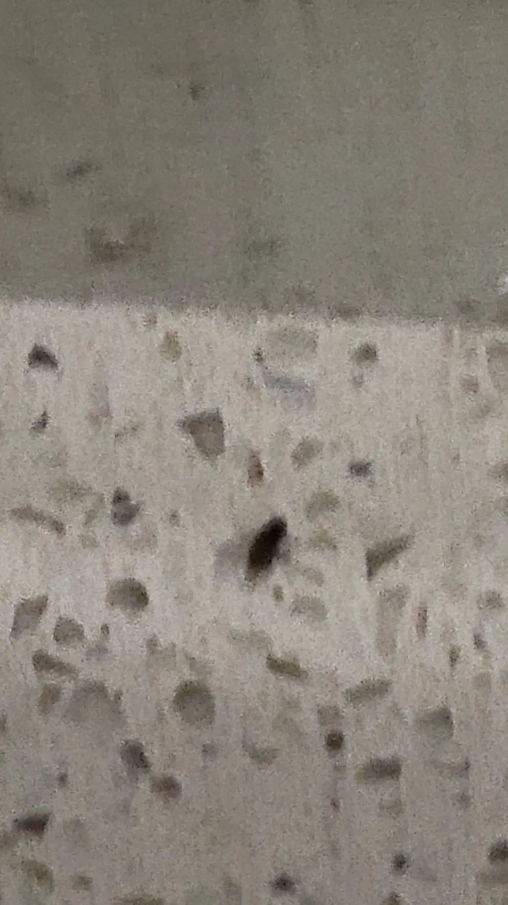 ai character: evil fly  background