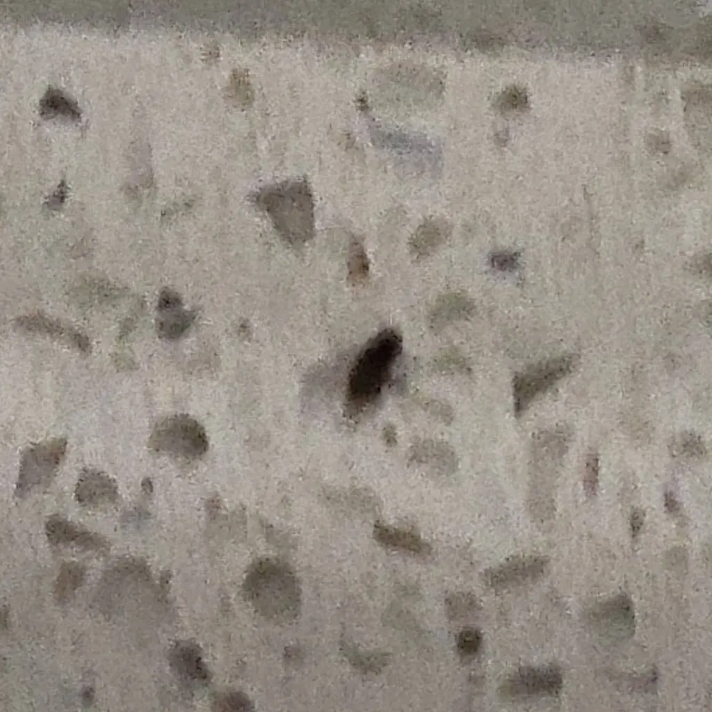 chat with ai character: evil fly 