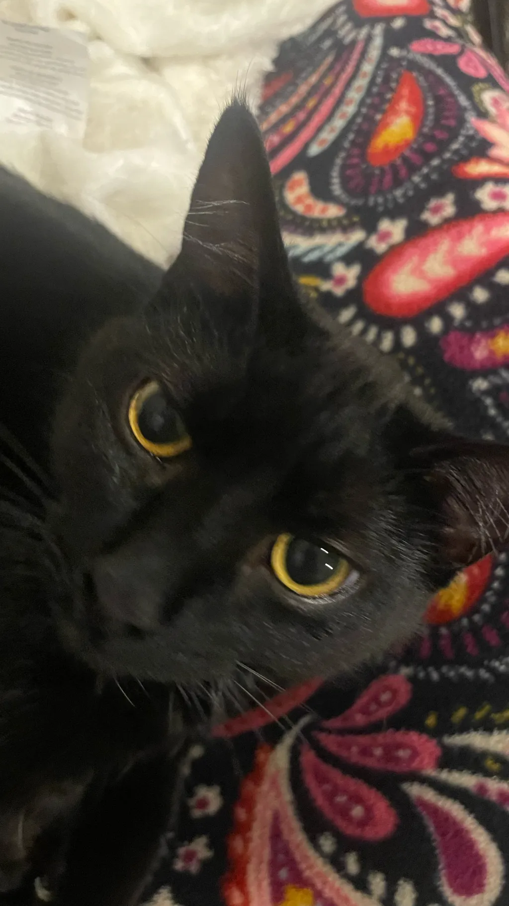 ai character: Smokey  background