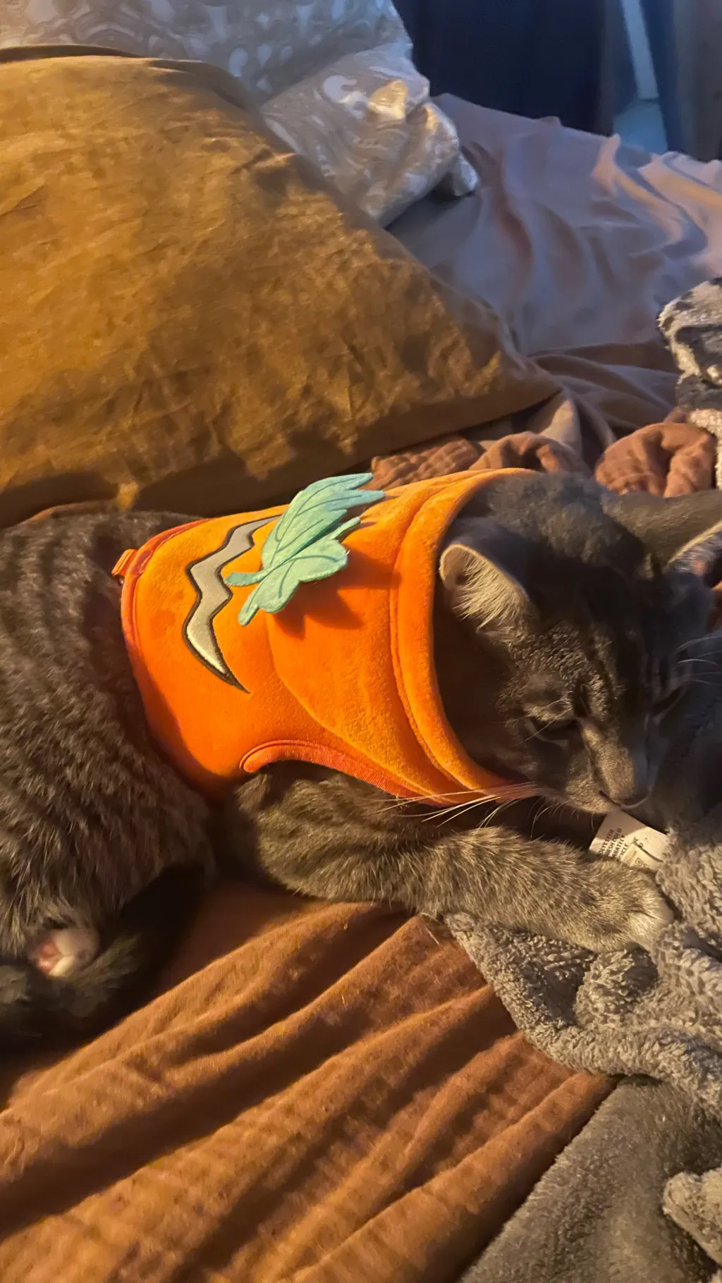 ai character: Thunder  da cat background