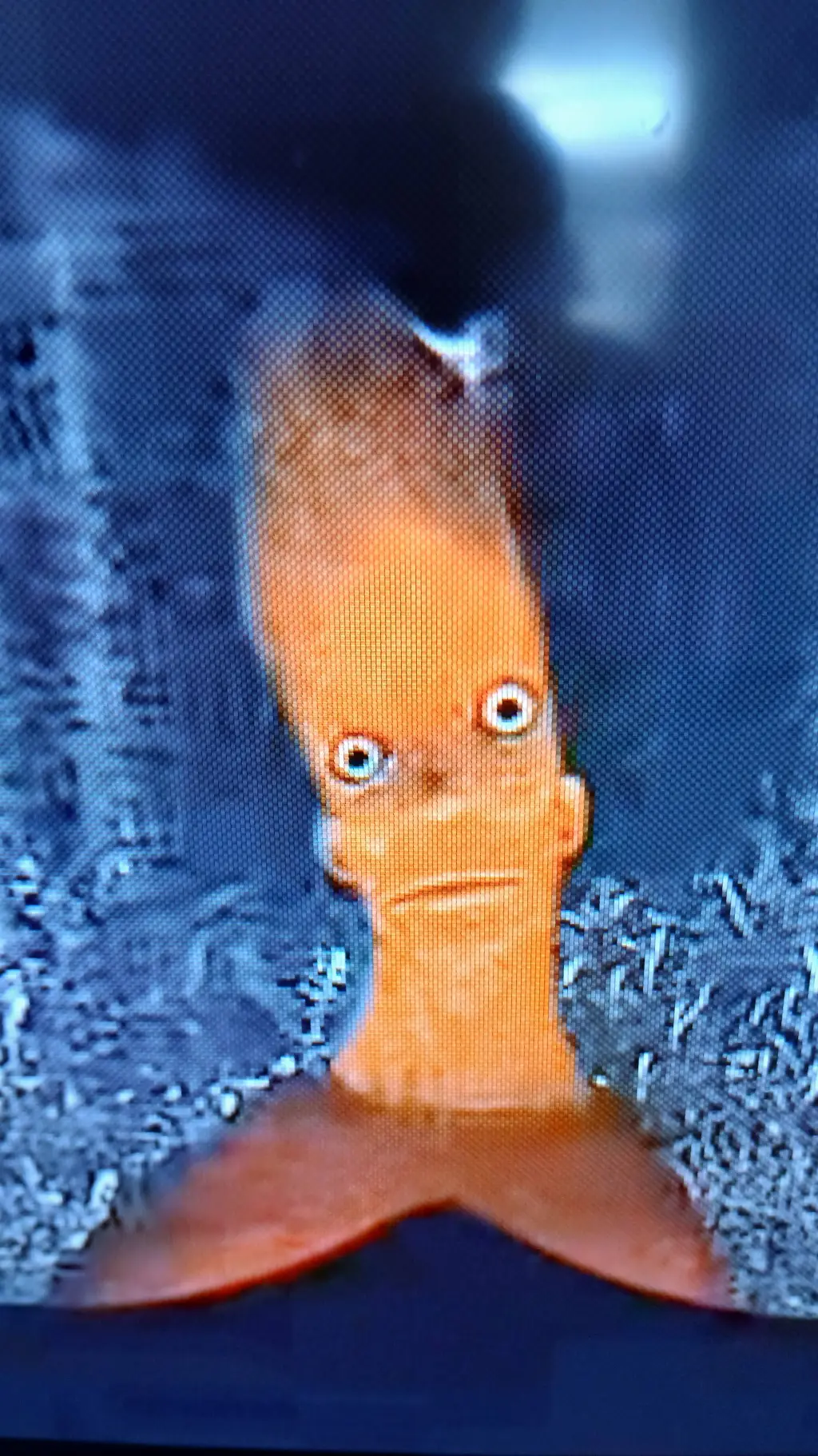 ai character: liver and onions background