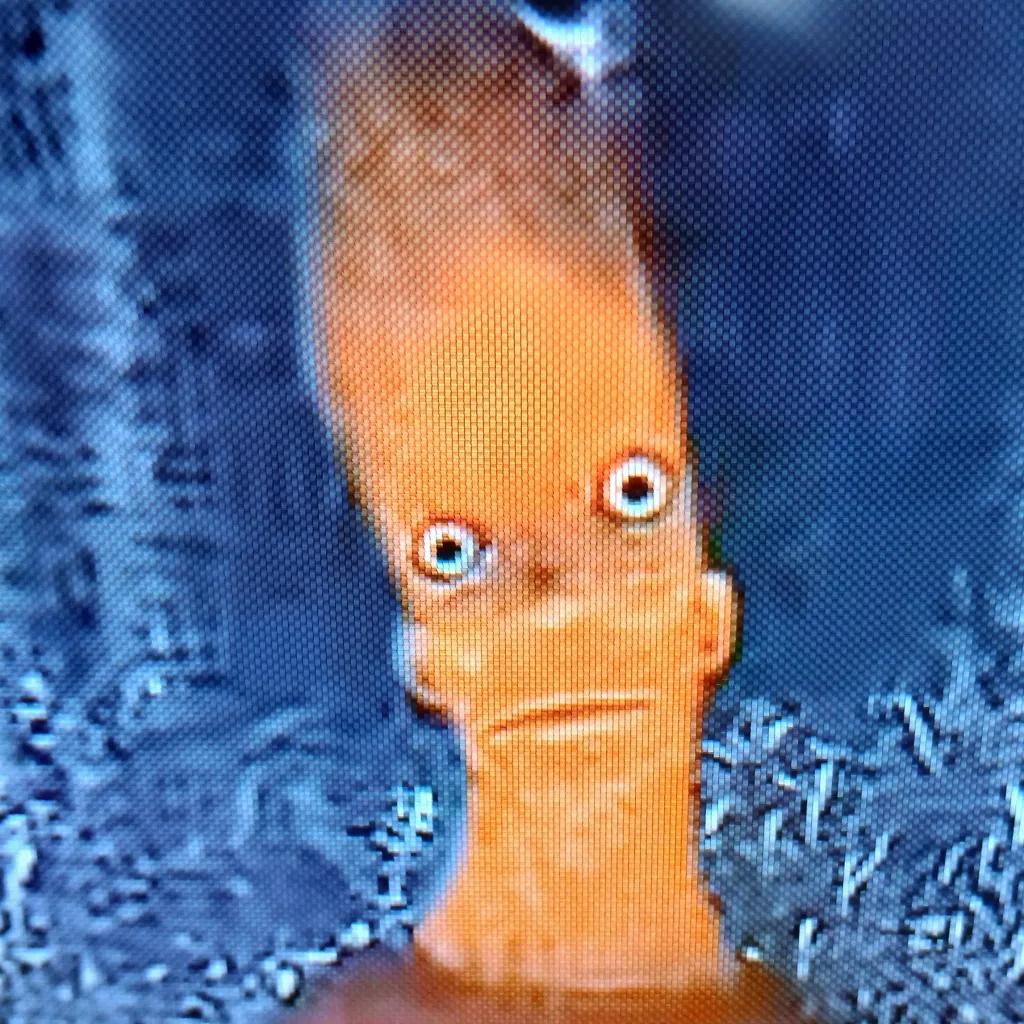 chat with ai character: liver and onions