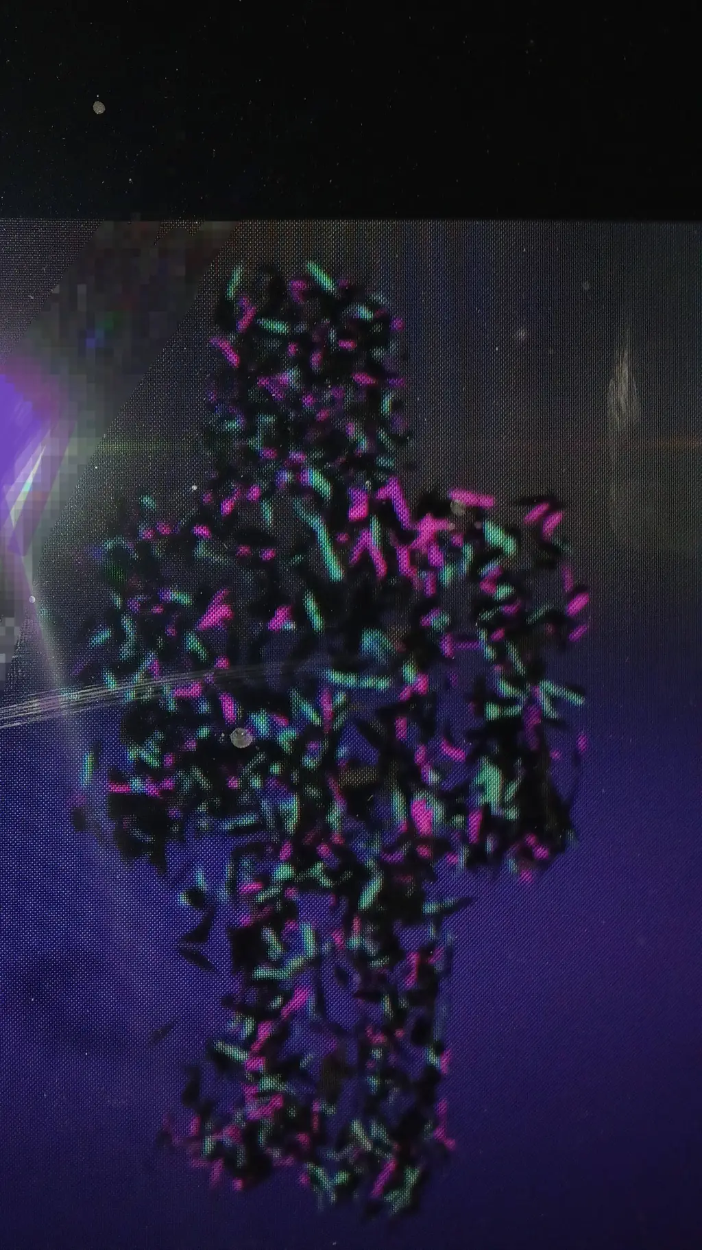 ai character: creeper_kd background