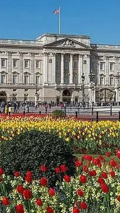 ai character: 🅱️🅾️🅰️Ⓜ️ background