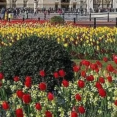 chat with ai character: 🅱️🅾️🅰️Ⓜ️