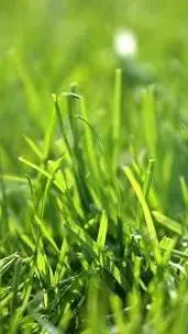 ai character: PASTO😱😱 background