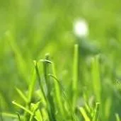 chat with ai character: PASTO😱😱