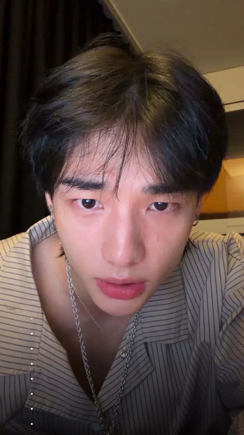 ai character: Hyunjin background