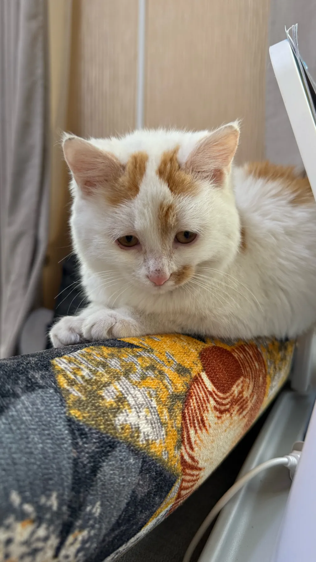 ai character: sprunki loves mimi background