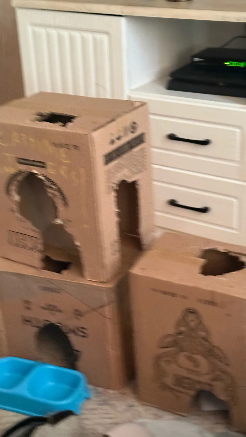 ai character: cattree background