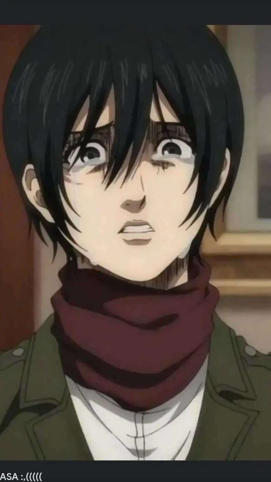 ai character: mikasa x eren background