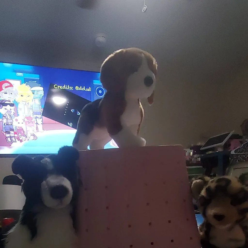 chat with ai character: two dogs one cat