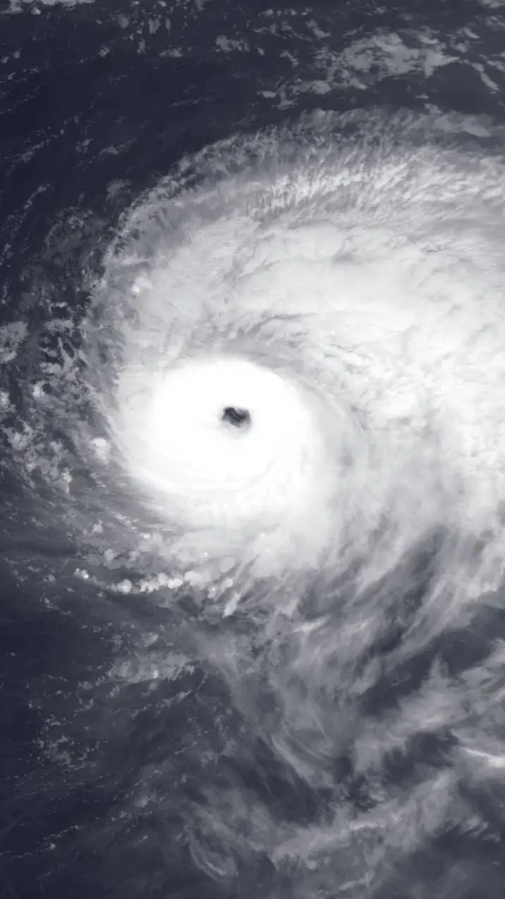 ai character: Lorenzo  background