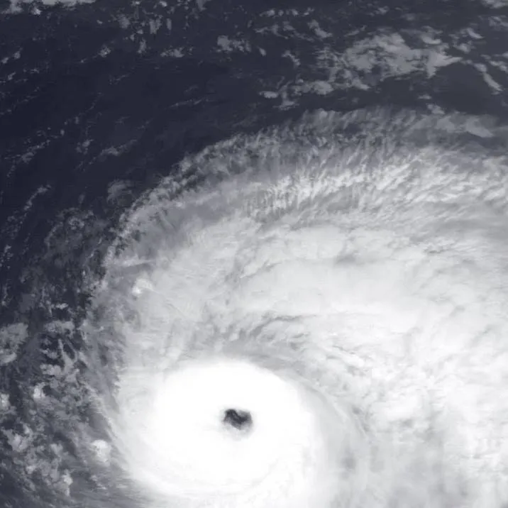 chat with ai character: Lorenzo 