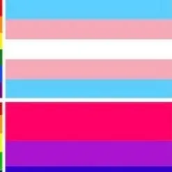 chat with ai character: LGBQT+Warrior cats