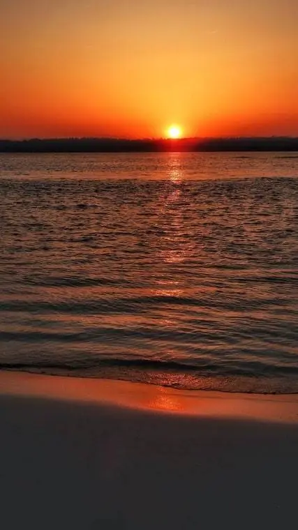 ai character: Blox fruits background