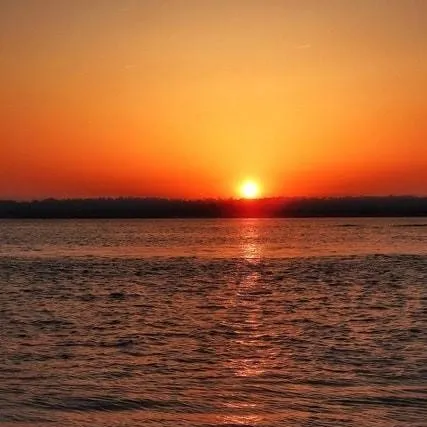 chat with ai character: Blox fruits