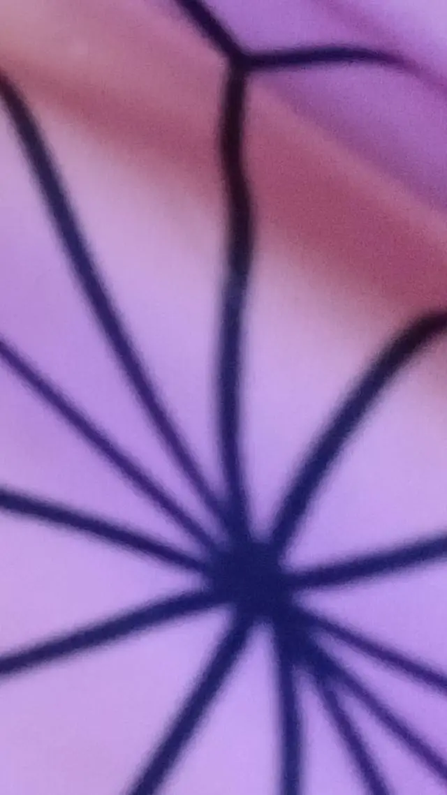 ai character: bkdk background