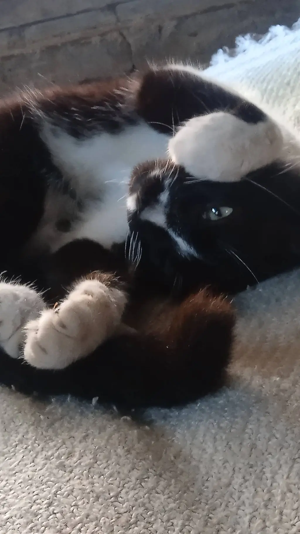 ai character: militar  background