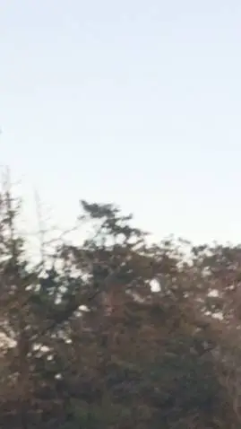 ai character: Country's  background