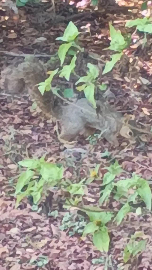 ai character: CommercialMeetings background