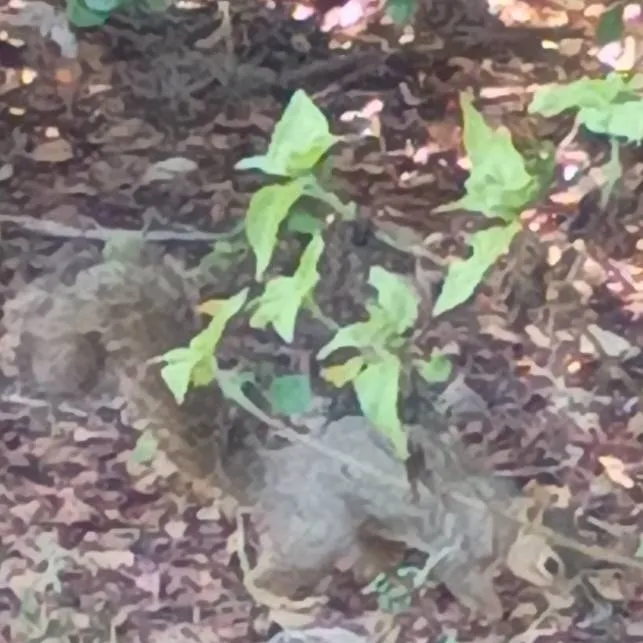 chat with ai character: CommercialMeetings