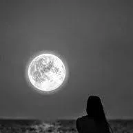 chat with ai character: sofia