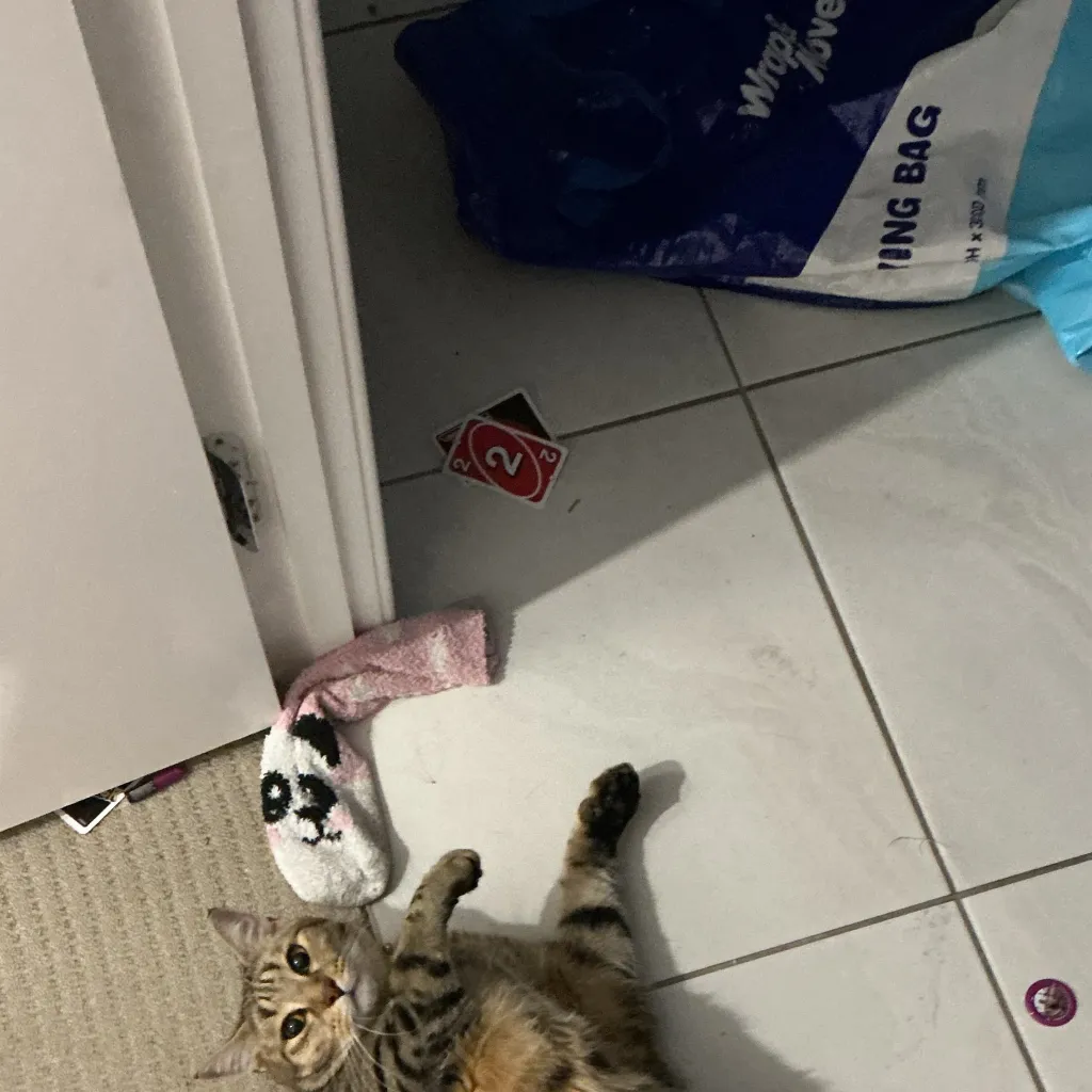 chat with ai character: Skz