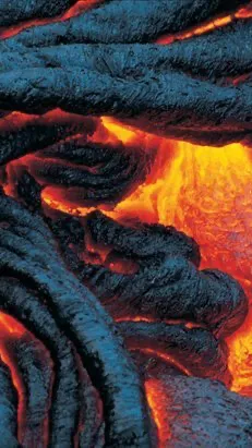 ai character: Phebe background