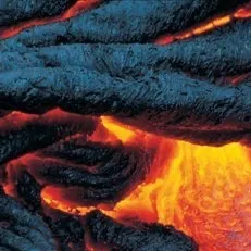 chat with ai character: Phebe