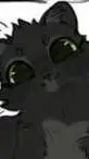 ai character: Hollyleaf background