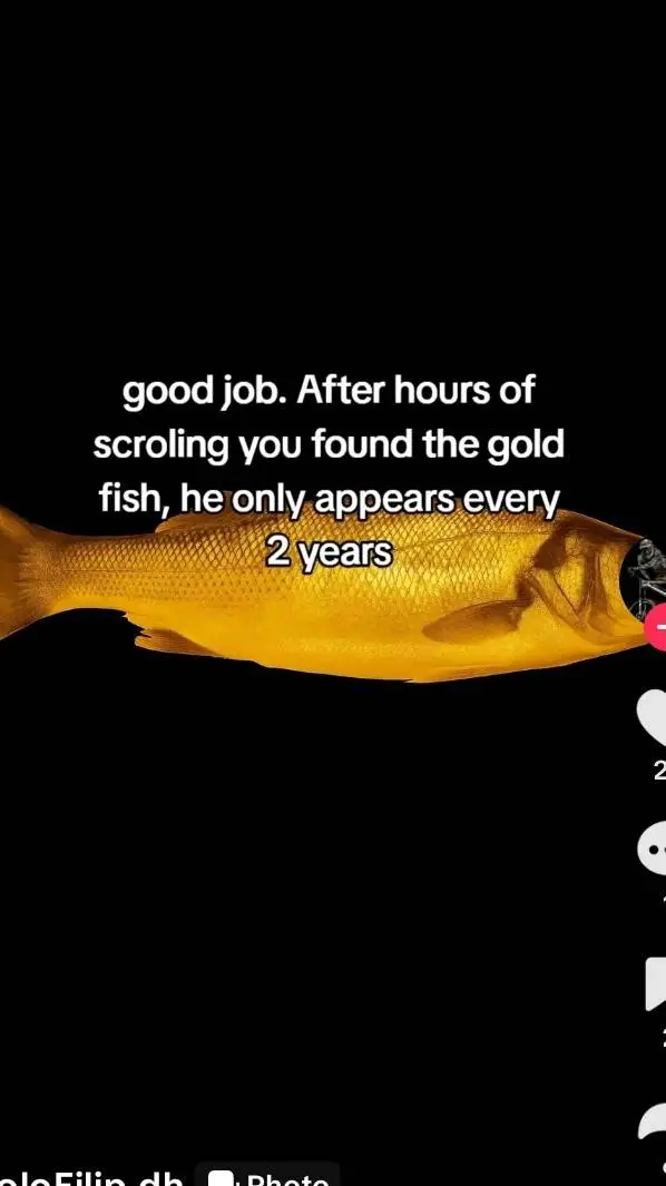 ai character: gold fish background