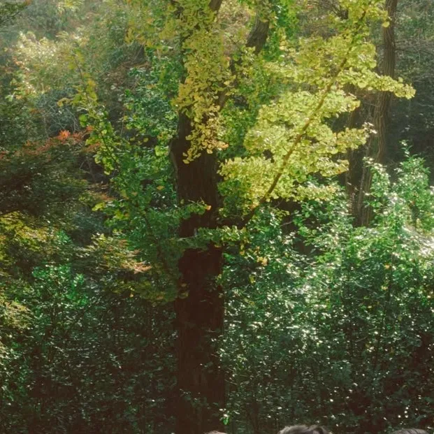 chat with ai character: Kokudou