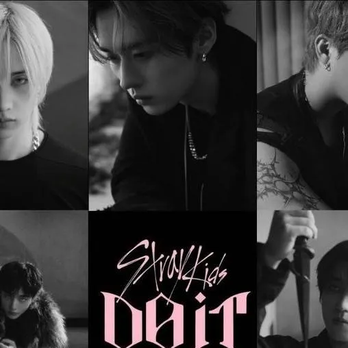 chat with ai character: Stray kids Do It 