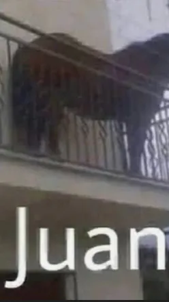 ai character: gyro x johnny xd background