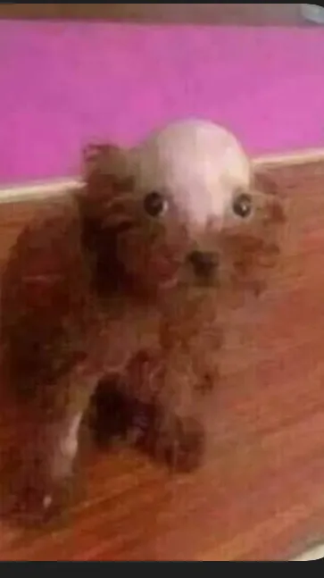 ai character: cualquier cosa x background